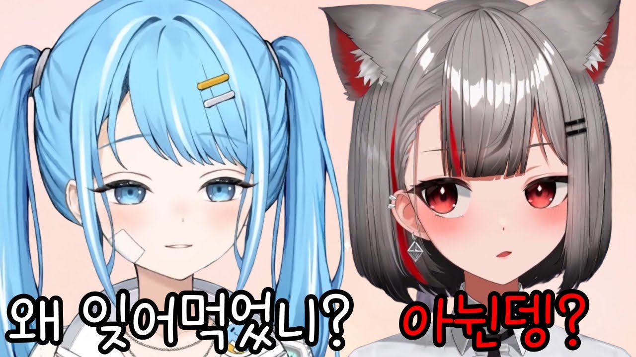 만나기만 하면 찐친모드 발동하는 시로와 타비