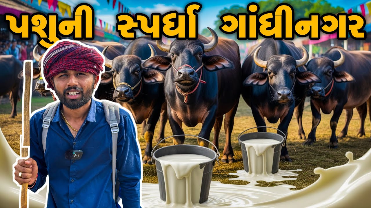 ભેંસુ ગાયો ની સ્પર્ધા ગાંધીનગર કૃષિમેળો -૨૦૨૫