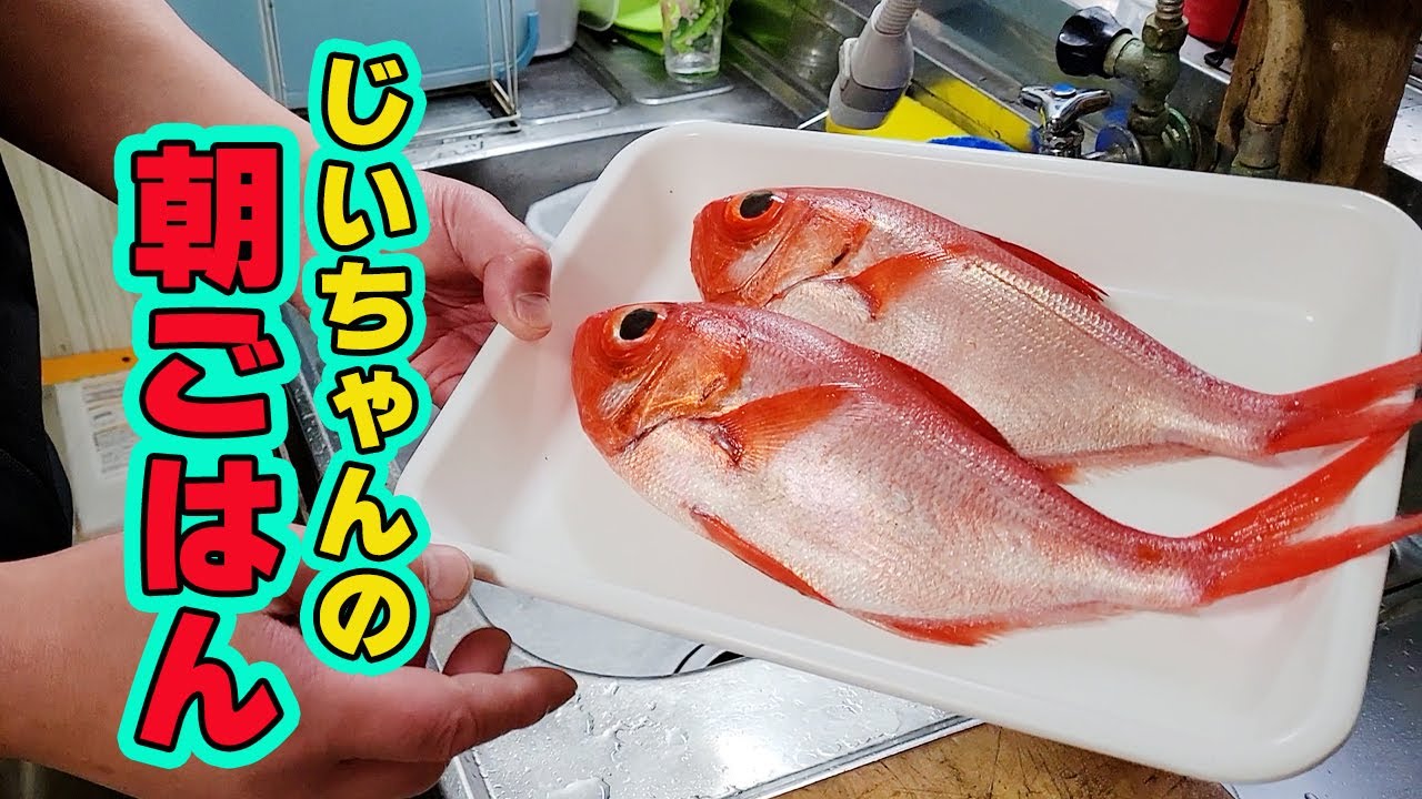【爺ちゃんの朝ごはん】金目鯛の干物を作ったよ！最近採点が厳しいじいちゃんの点数はどうかな？