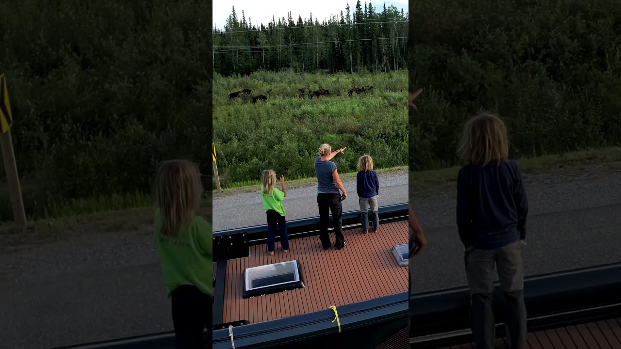 TraumZIEL ALASKA