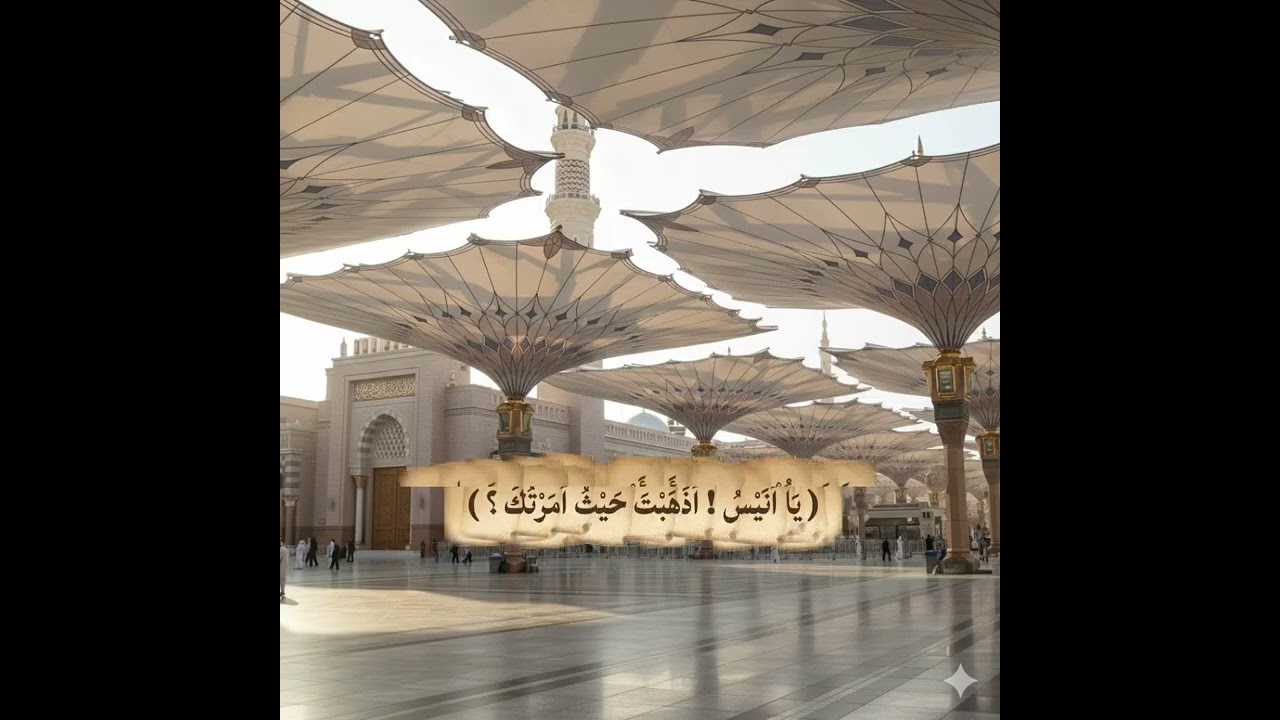 جَامِعُ الْكُتُبِ التِّسْعَةِ(ح١٥٣٠٩)