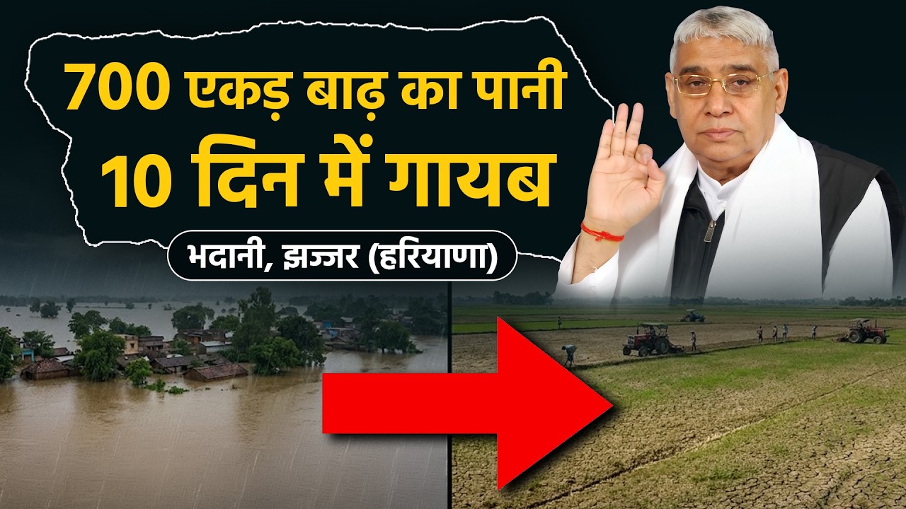 डूबते हुए गाँव भदानी, झज्जर, (हरियाणा) को कैसे मिला नया जीवन? SA News Channel