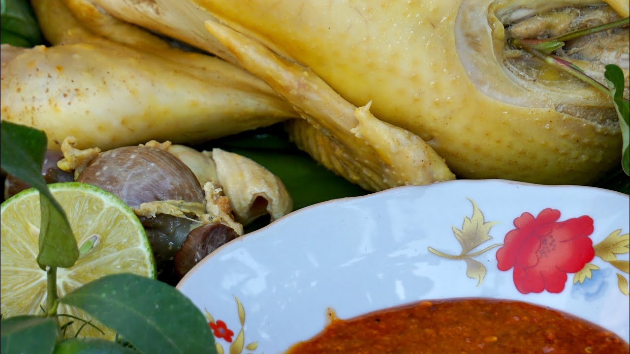 Mukbang gà luộc
