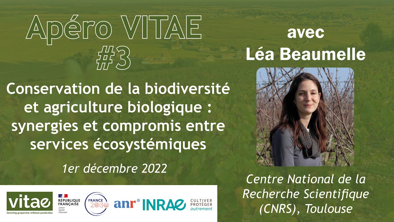 Apéro VITAE n°3 - Conservation de la biodiversité et agriculture biologique