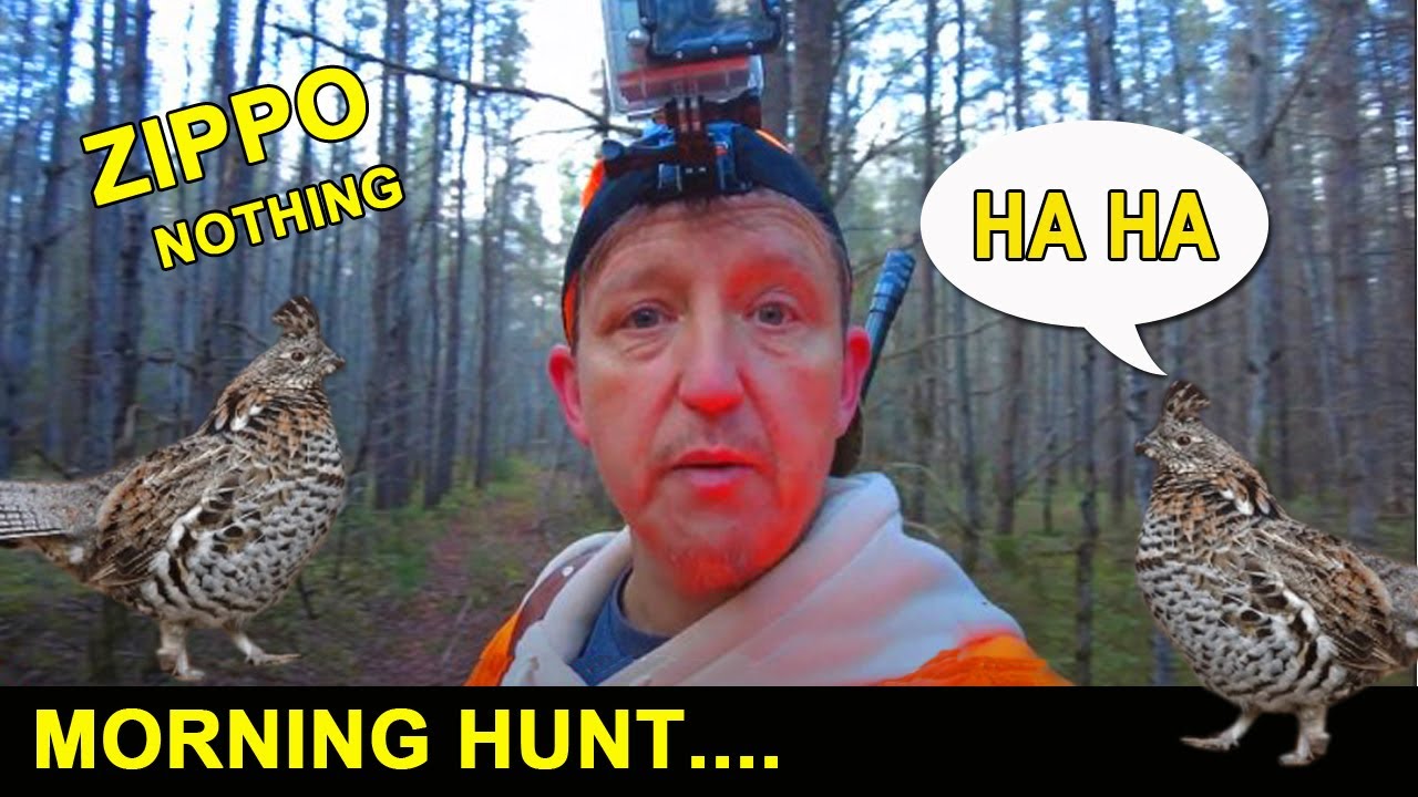 Northern Ontario grouse ( partridge ) hunting. Exploring some old tree cut roads.