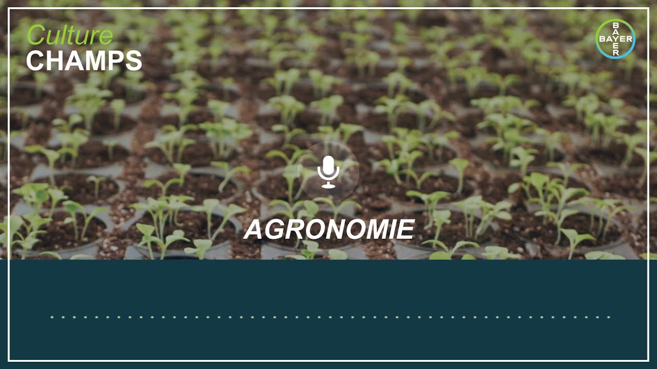 🟢 Culture Champs -  Agronomie