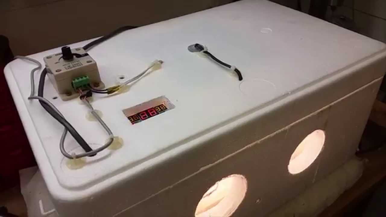 Egg Incubator Homemade / DIY for chickens or quails - electronics project