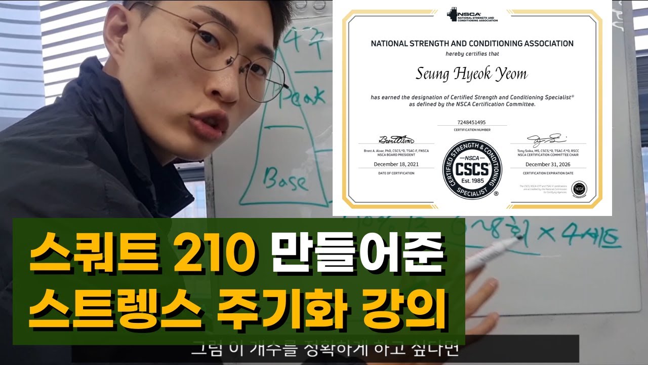 [주기화] 스쿼트 210 만들어준 주기화 방법 강의(CSCS)