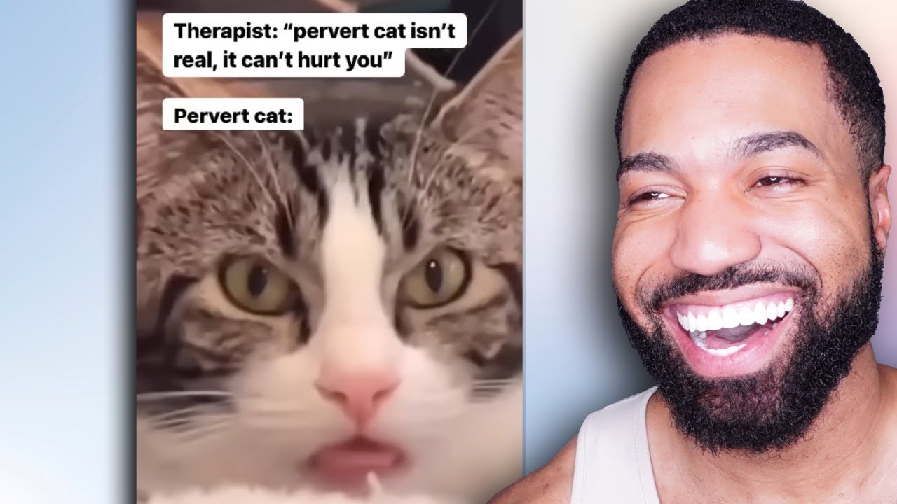 Try Not To Laugh! Memes that come from the realm of Dank..