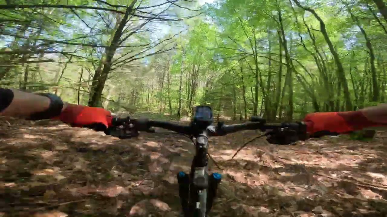 Mtb 3 Pfälzerwald Schopp 2