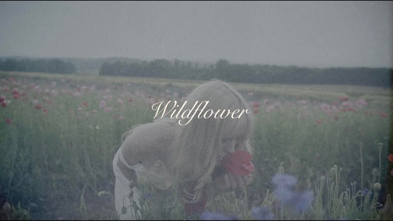 Zandi Holup - Wildflower (Lyric Video)