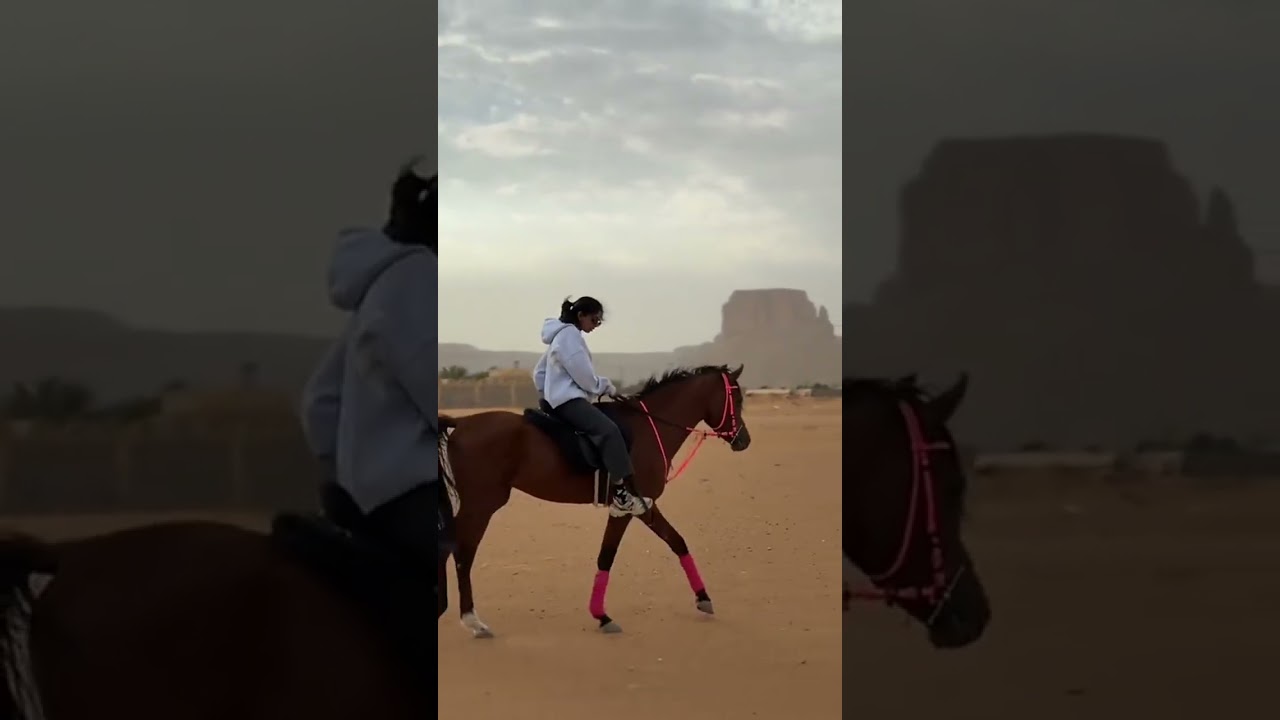 سمو العجمي وخيلها 😍