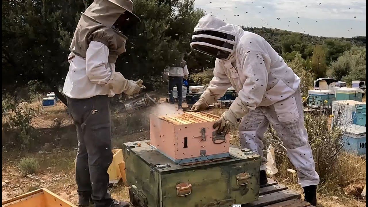 Μάνα δεν είναι μόνο μία - Επεισόδιο 1