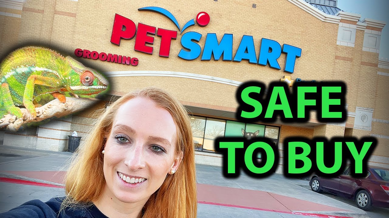 Товары Chameleon, которые вы МОЖЕТЕ купить в PetSmart