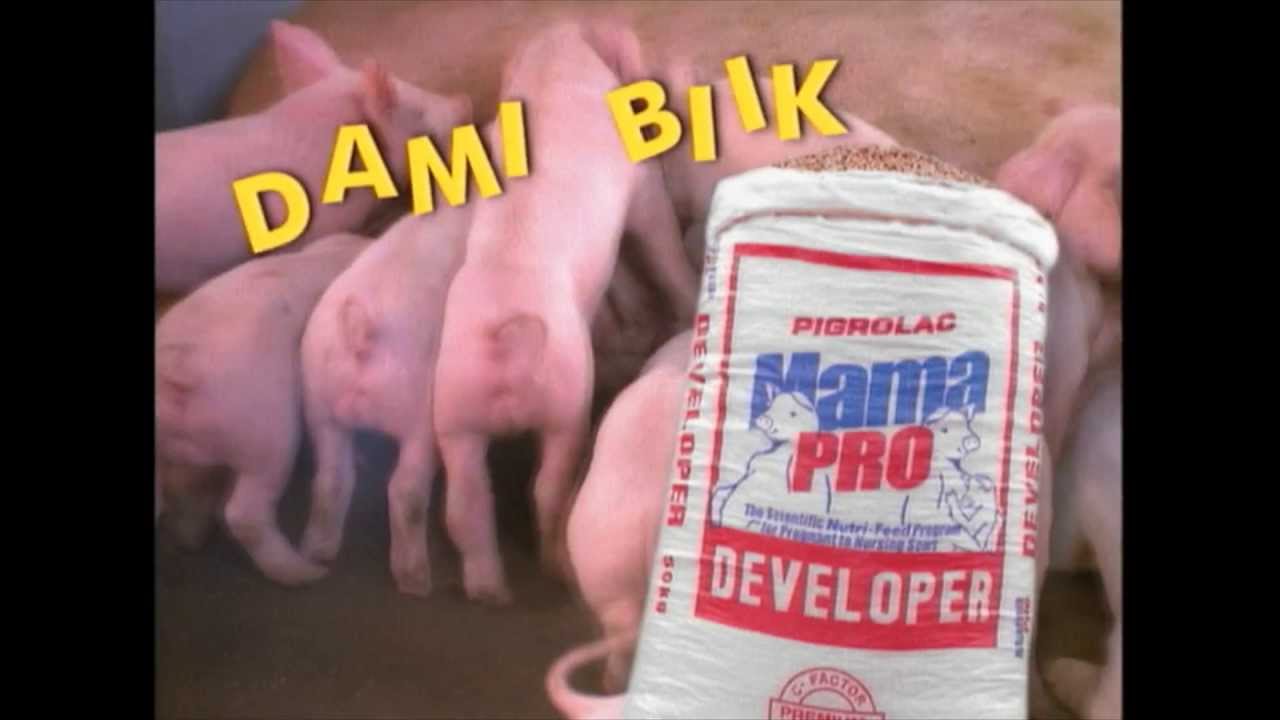 MamaPro Developer TVC HD