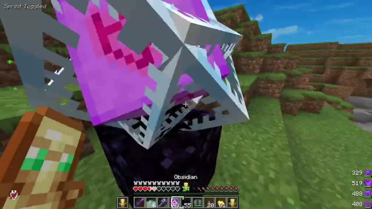 skin