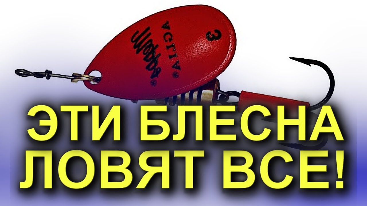ТОП БЛЕСЕН MEPPS КОТОРЫЕ ЛОВЯТ ЩУКУ И ОКУНЯ! РЫБАЛКА НА СПИННИНГ. ЛОВЛЯ НА ВЕРТУШКИ МЕПС