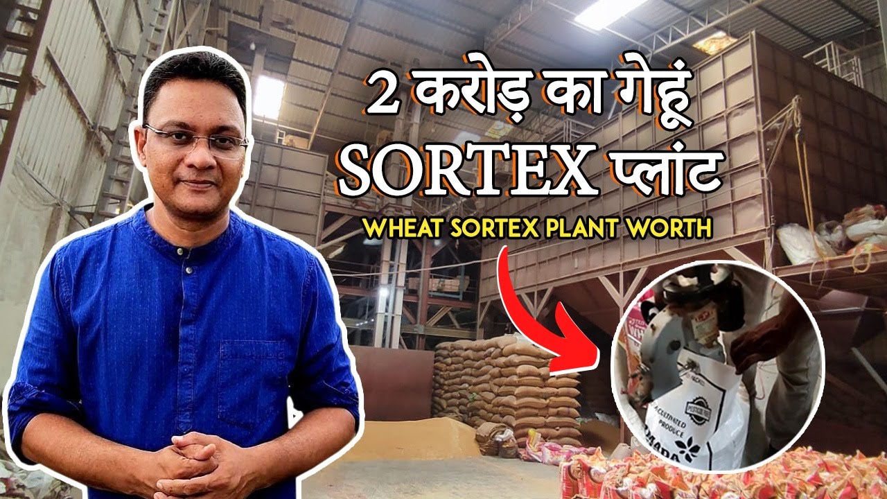 Wheat Sortex Plant | Wheat Cleaning Machine | Sortex Clean Plant