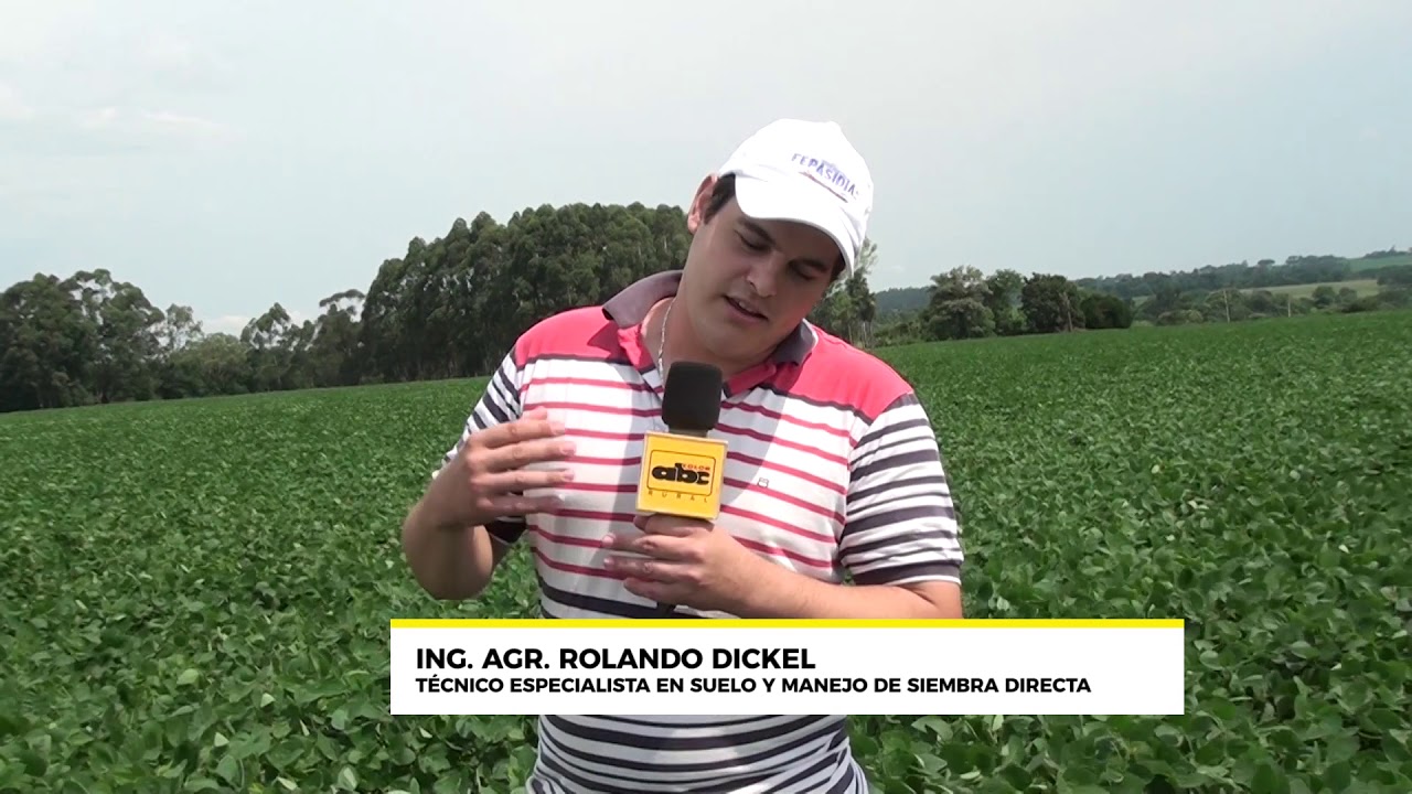 Siembra  de cobertura y su importancia