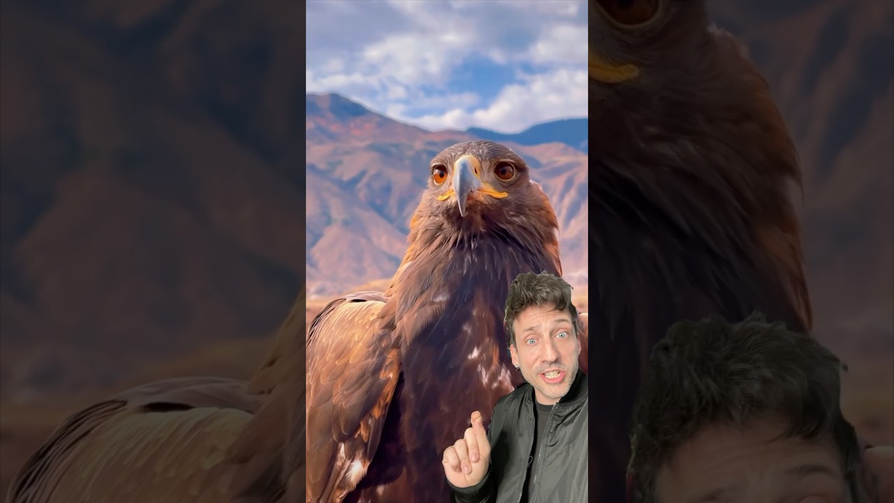 Golden Eagle буквально построен по-другому.
