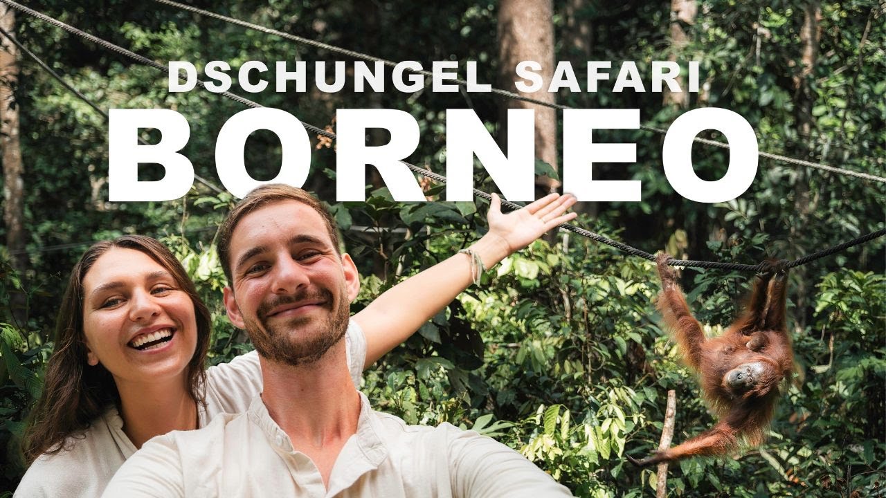 Borneos Big 5 🦧 Unser Dschungelabenteuer auf Borneo 🌴 eine unglaubliche Safari-Tour!