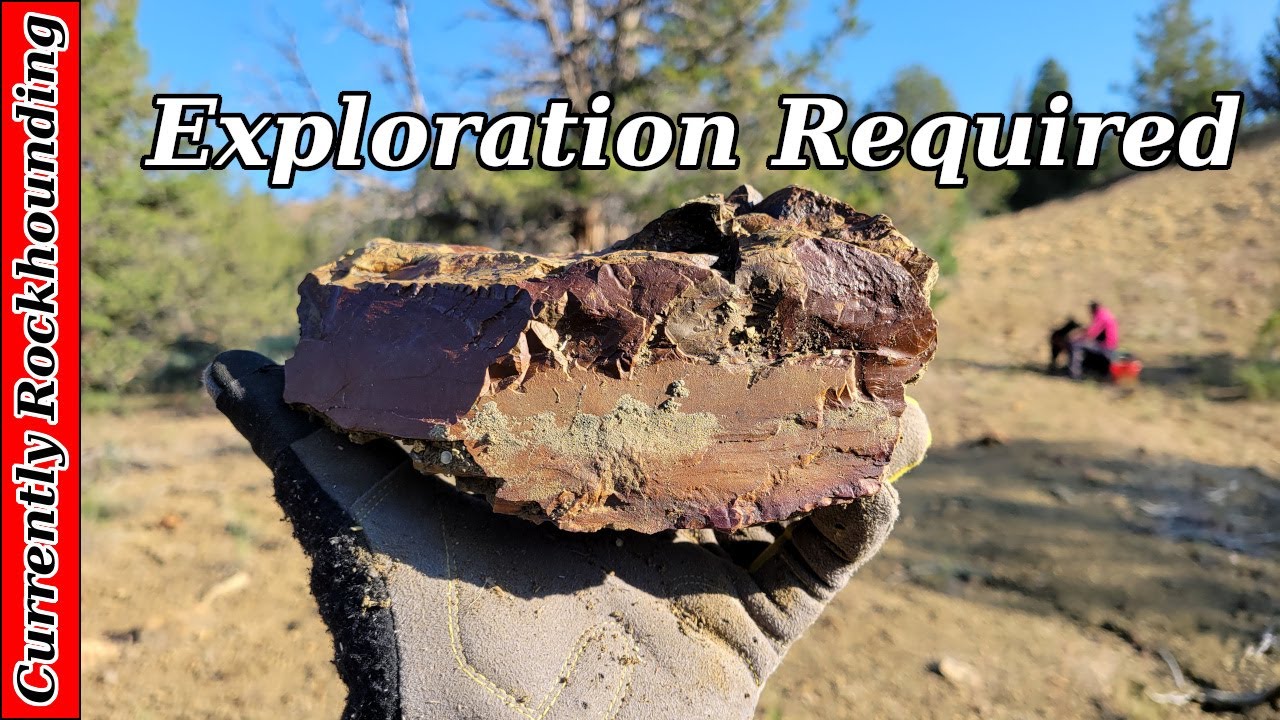 Henderson Flat Jasper & Petrified Wood // Rockhounding Central Oregon