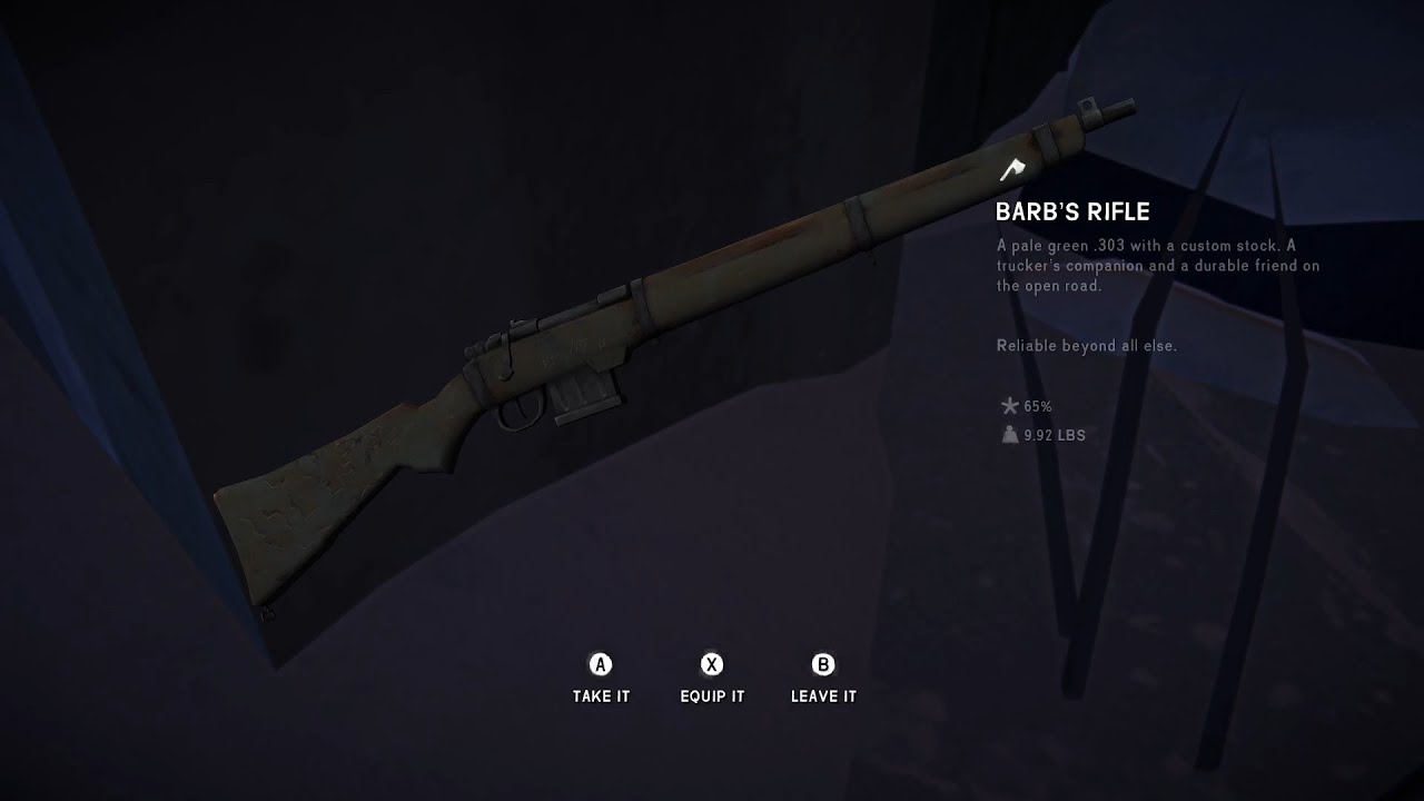 Barb's Rifle Location #2 (Coastal Highway)
