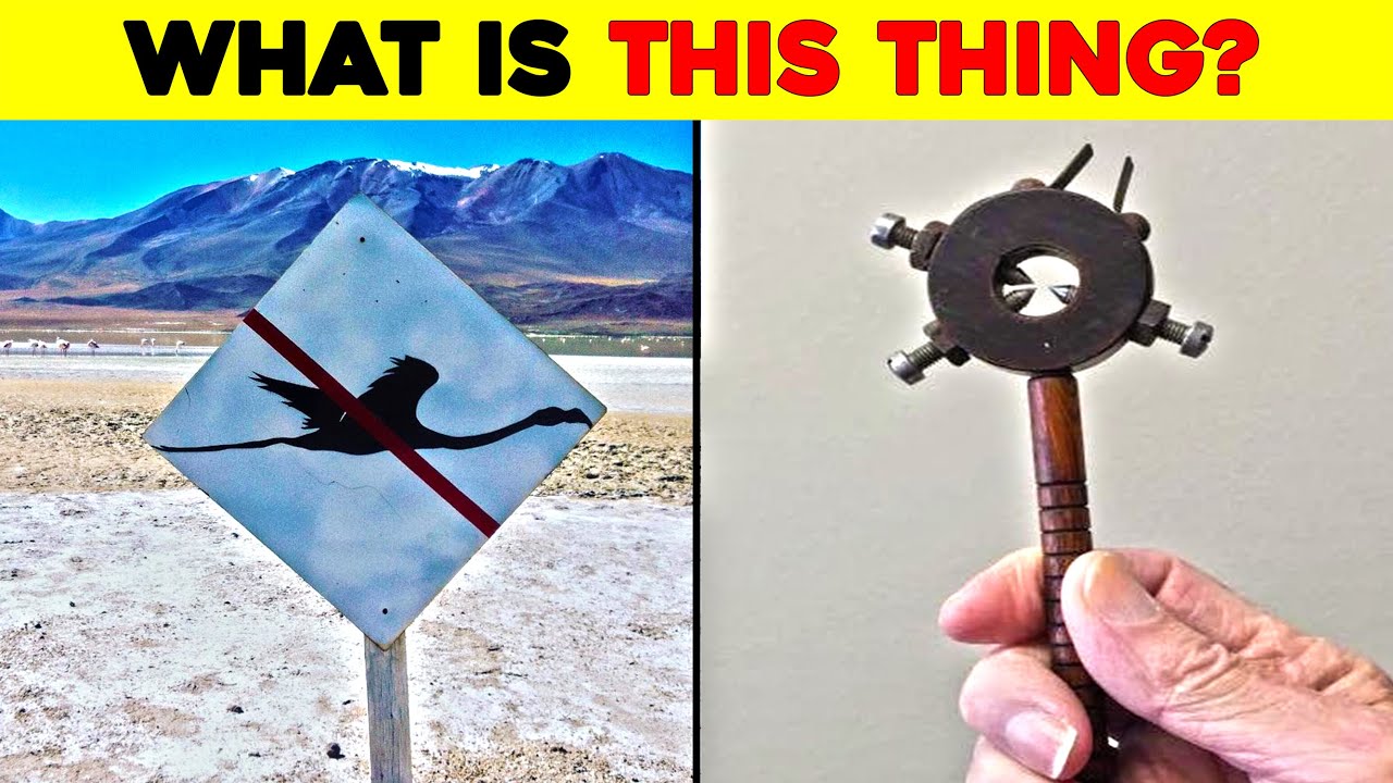 What Is This Thing? Times People Stumbled Upon Mysterious Objects