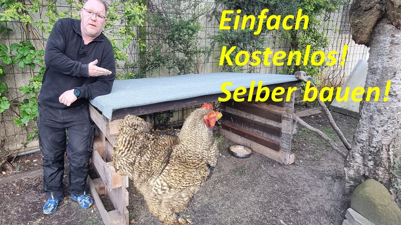 So baut ihr einen Hühner Unterstand !