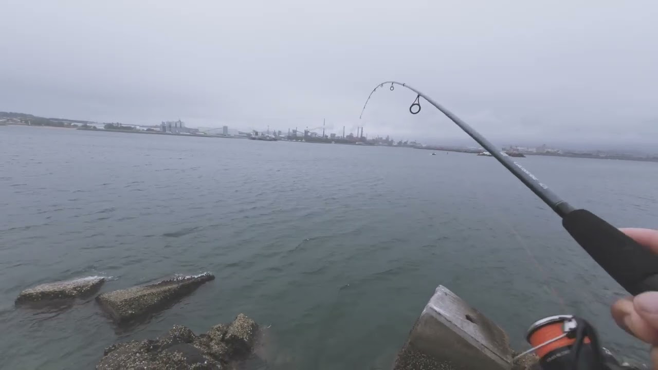 PORT KEMBLA FISHING