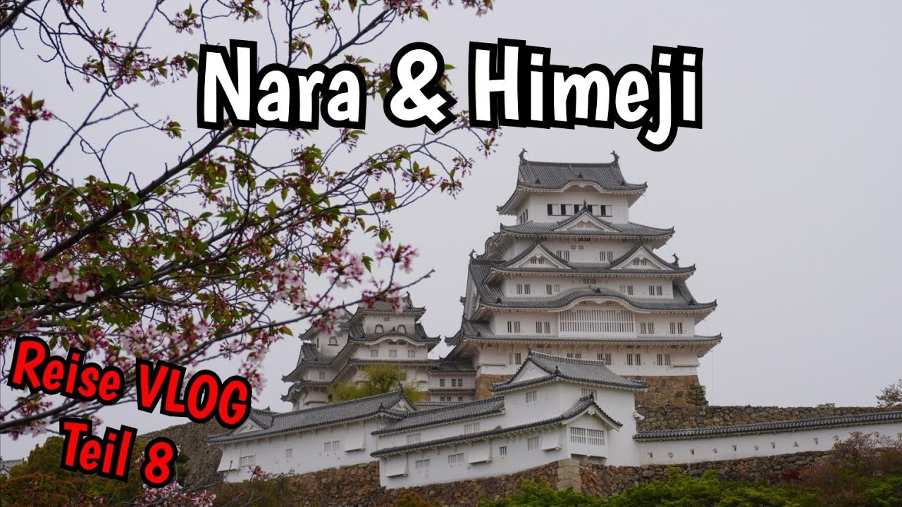 Rehe füttern in Nara & Himeji Castle | 🇯🇵 Japan Reise Vlog Teil 8