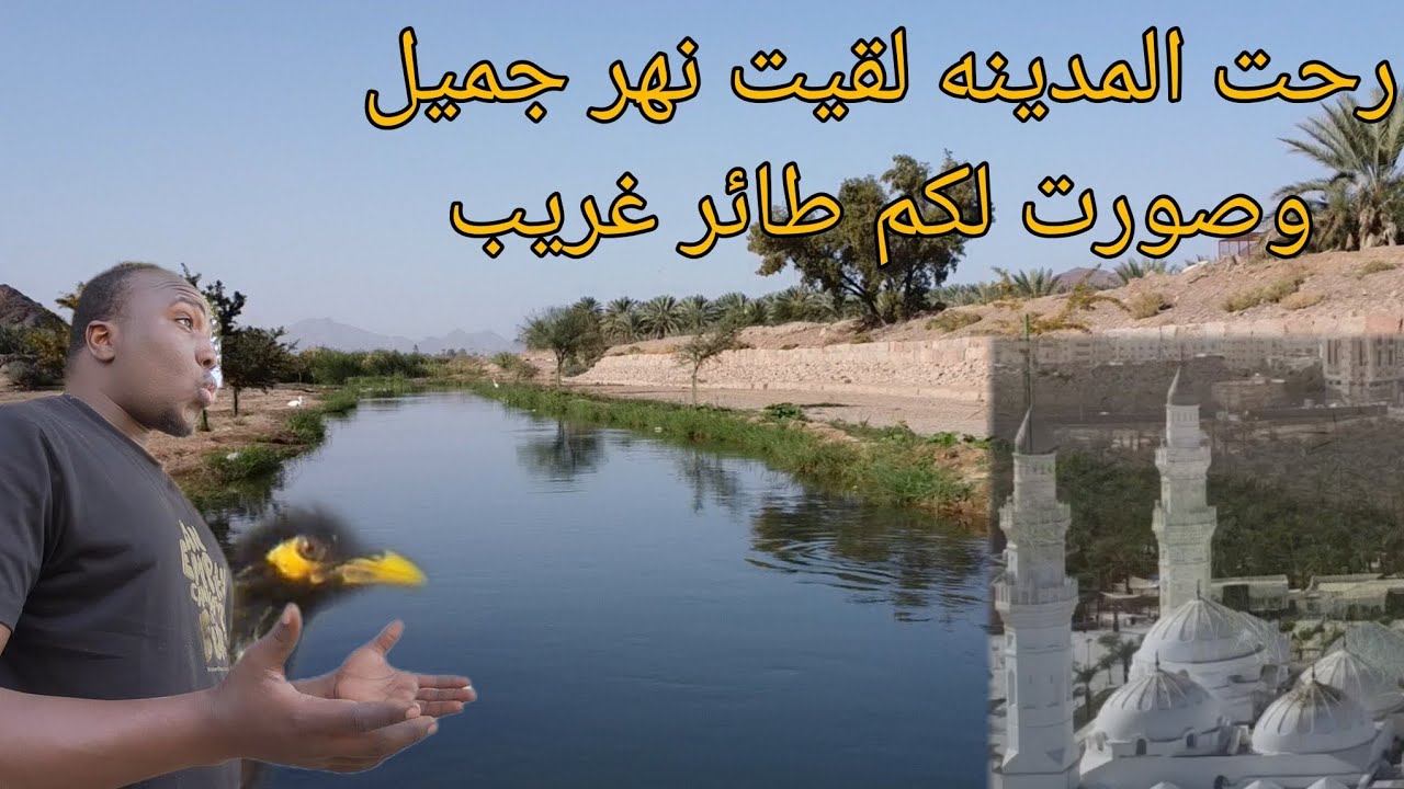 زيارتي لمدينه رسول الله والامكان التاريخية 