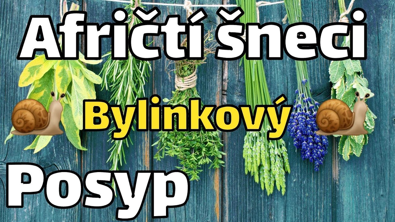 Bylinkový posyp pro africké šneky🐌🌱