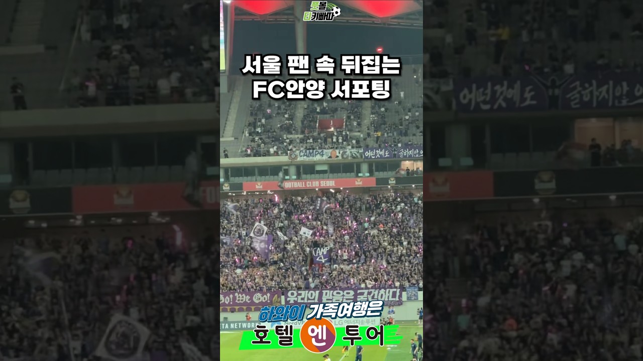 FC서울 팬들 속 뒤집는 FC안양 떼떼떼 서포팅 (팬 제보 영상) #k리그