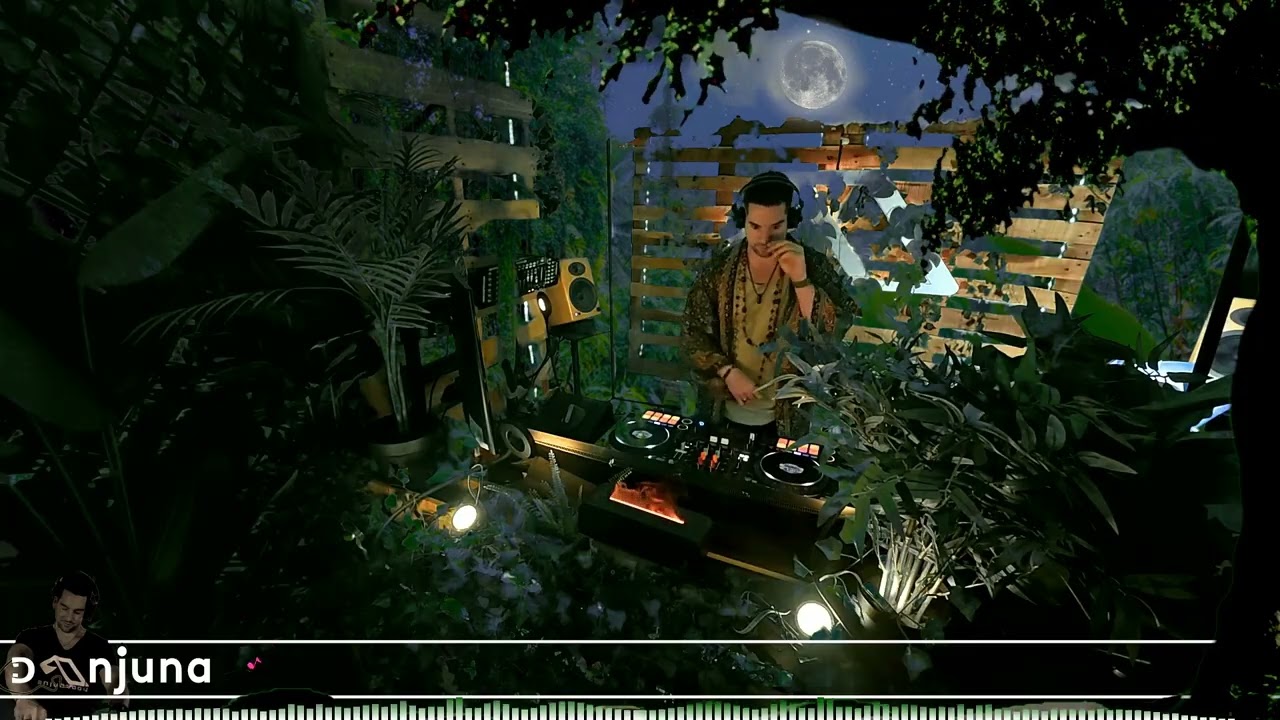 Deep Woods #78 Organic Progressive House: PROFF, Nordfold, BT, Sebastian Sellares, D-Nox, Budakid
