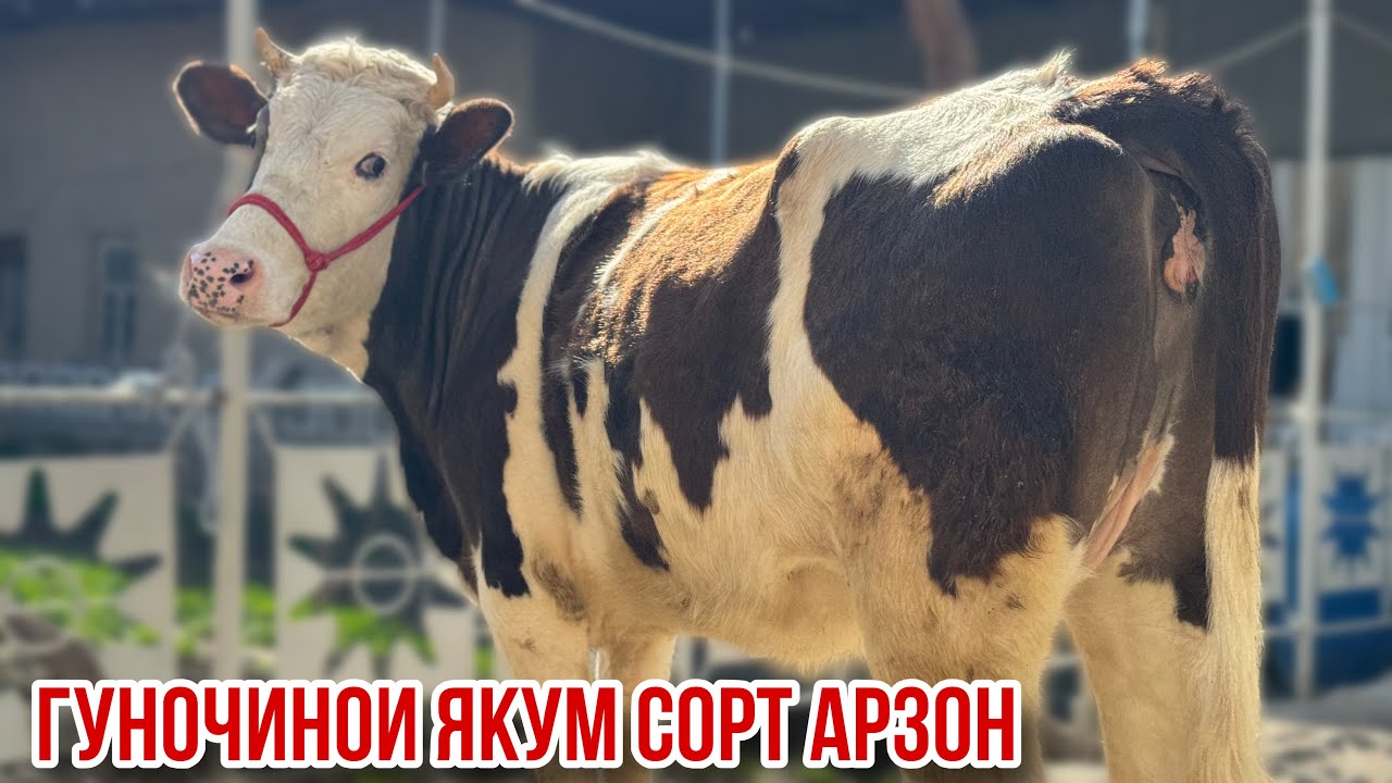 22 февраля 2026 г.