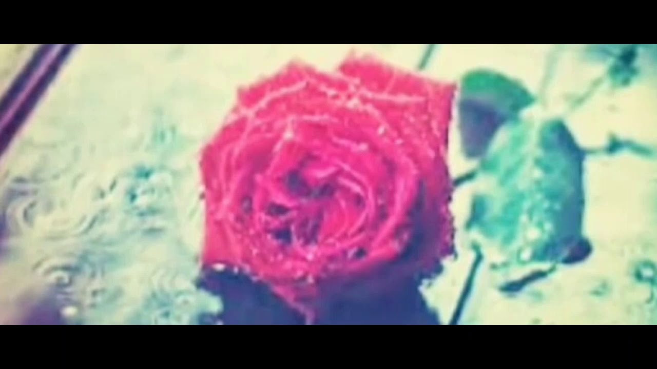 اغنية اخي رحلت تركتني bahae eddine 2018