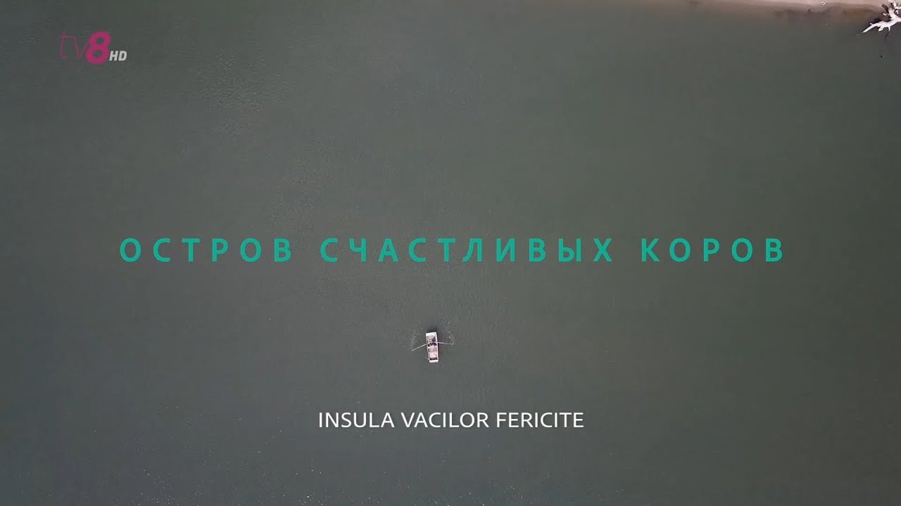 Dincolo de Nistru #4: Insula vacilor fericite / Остров счастливых коров