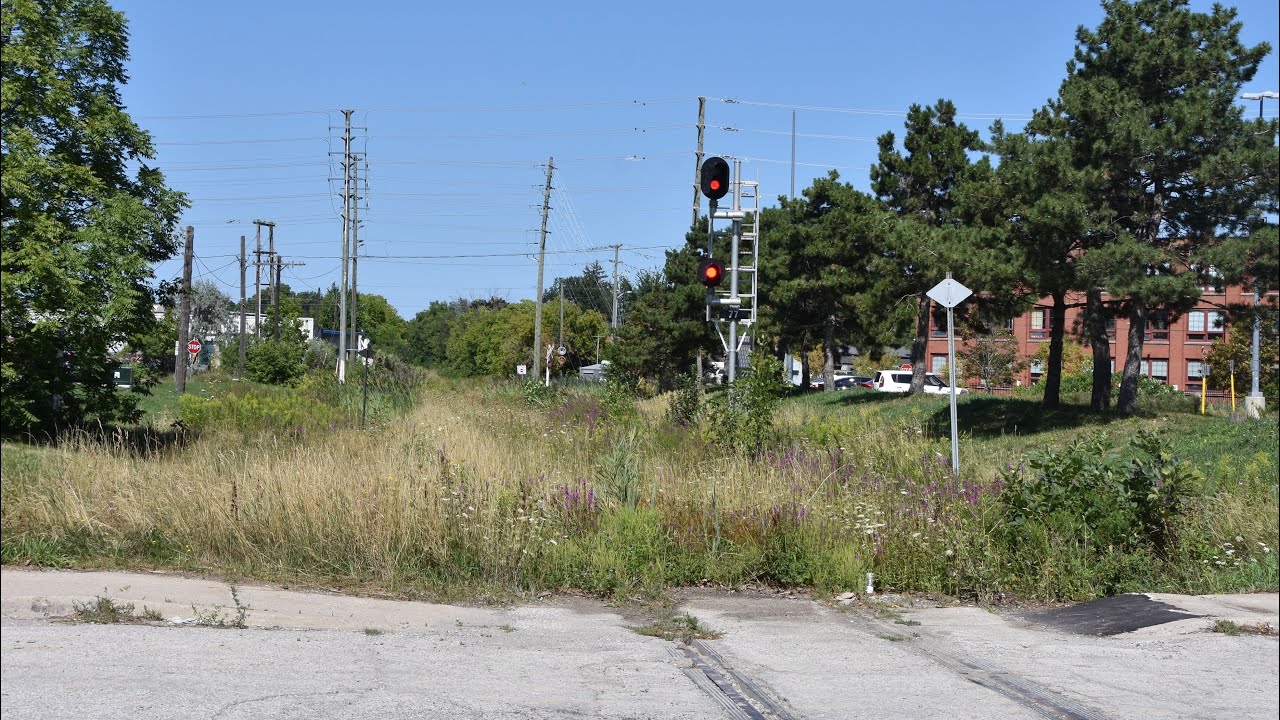 Looking at the Abandoned OBRY Line in Downtown Brampton in August of 2022: