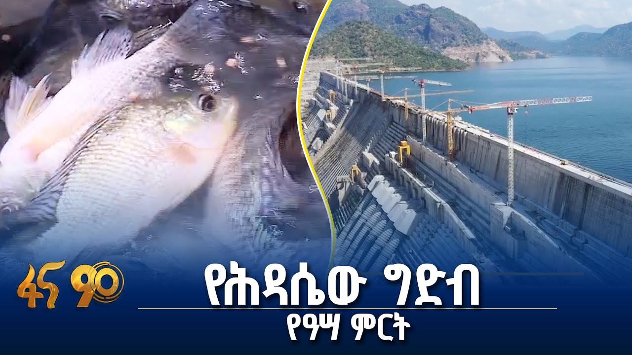 የኢትዮጵያ የዓሣ ምርት አቅም