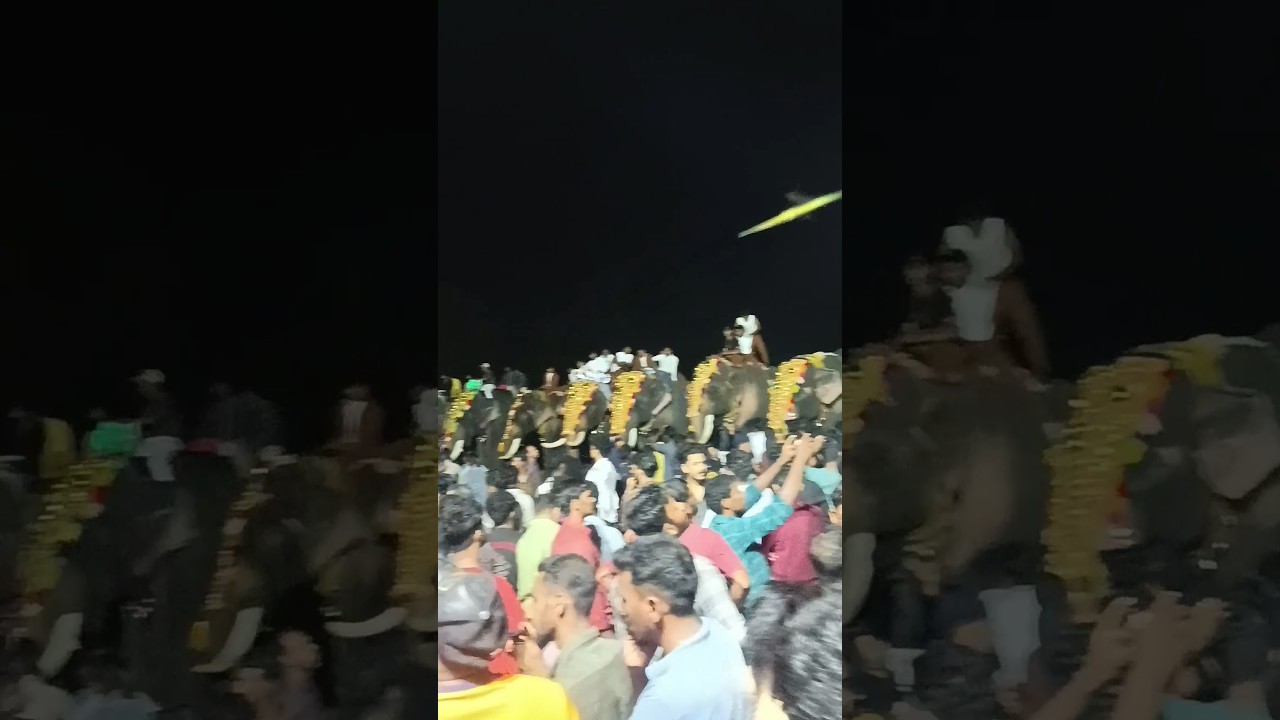 thrithala fest💥💥🥁🥁