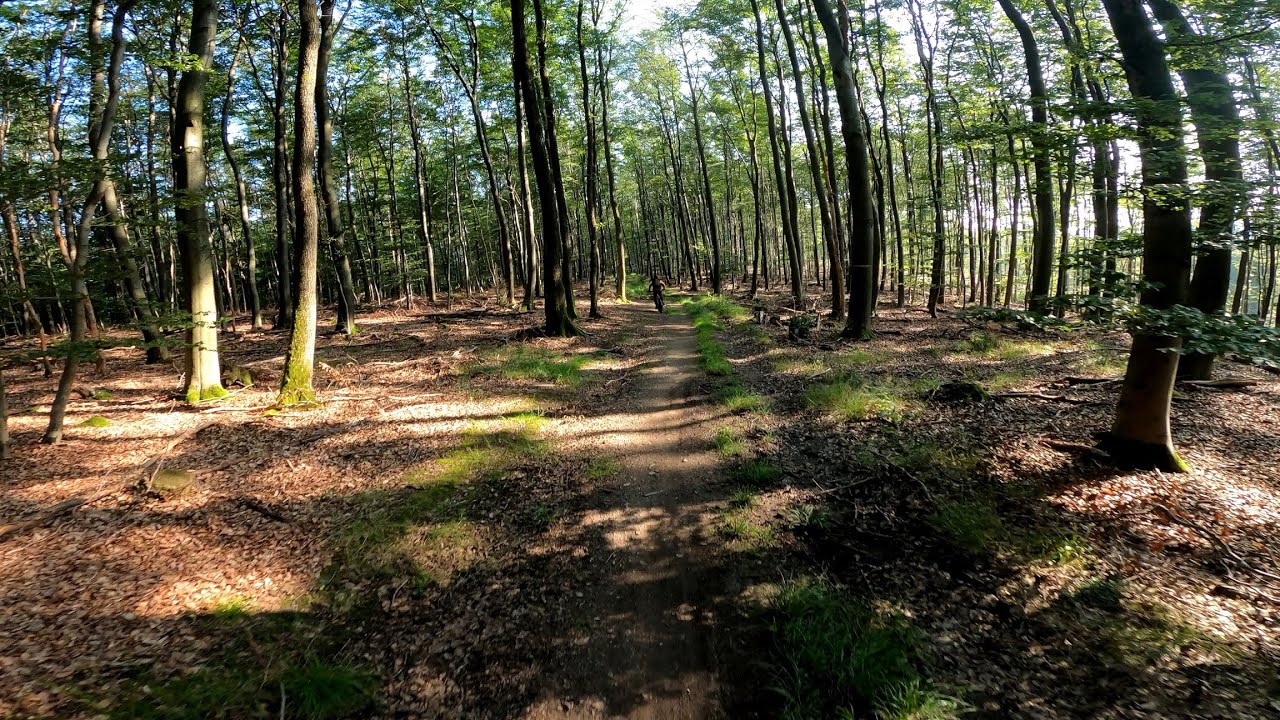 MTB Trails Sauerland / Arnsberg Jägerpfad / Hunter Trail in 4K #65