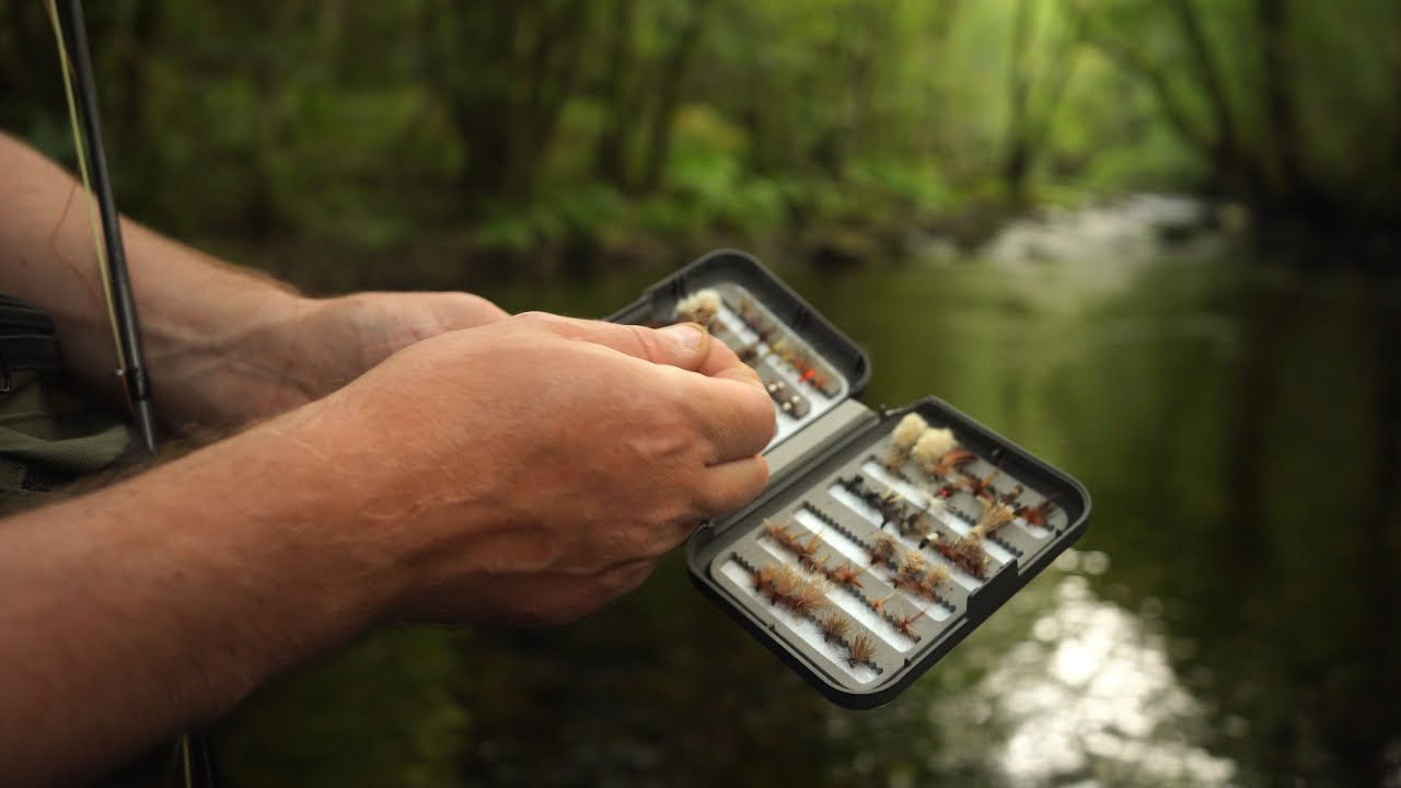 Pesca de truchas a mosca seca en Galicia