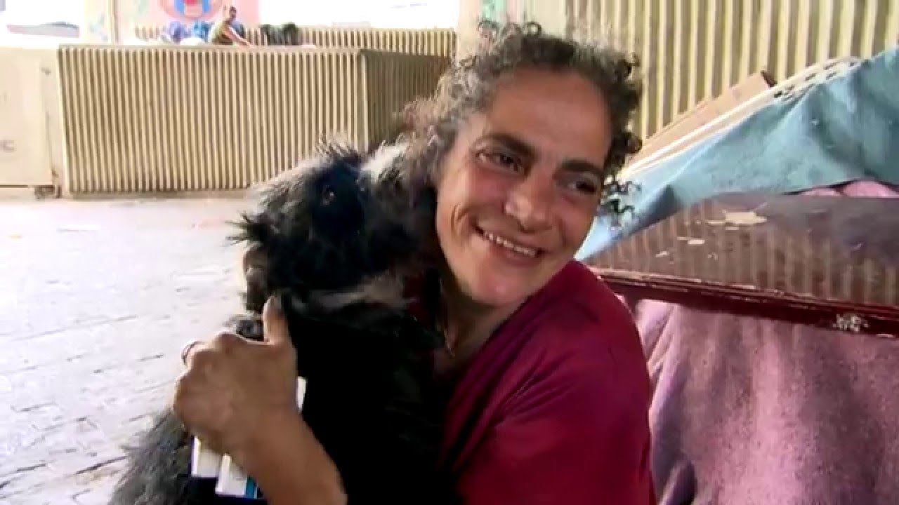 Profissão Cachorro: Cão de Rua