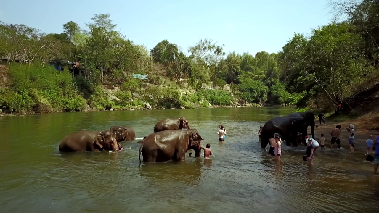 Kanchaniburi Elephant Haven