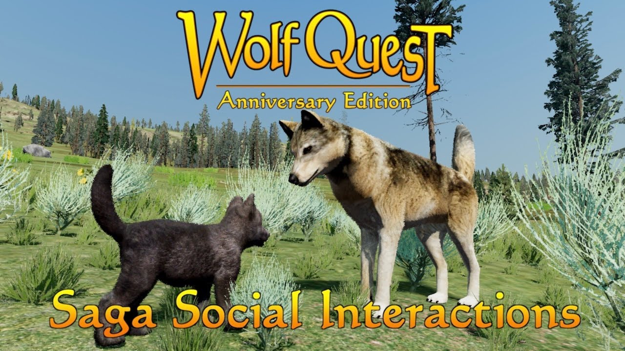 Saga Social Interactions
