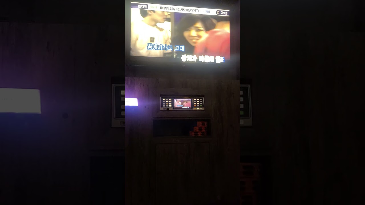 2026년 2월 19일