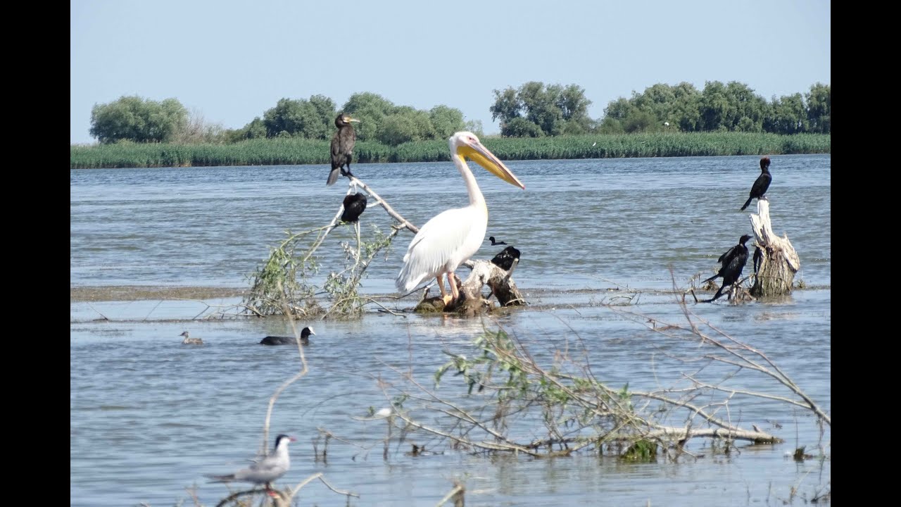 The Biosphere of the Danube Delta - one of a kind in Europe