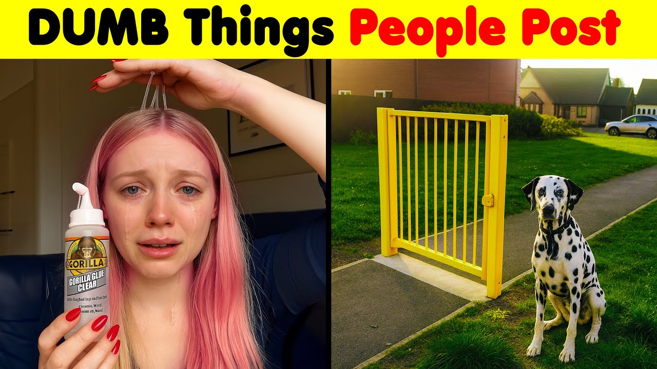 The Most DUMB and STUPID Things People Post On The Internet