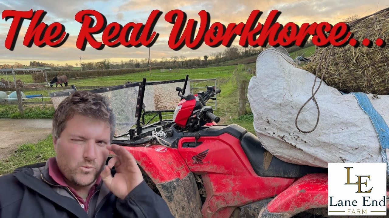 First Vlog from Lane End Farm